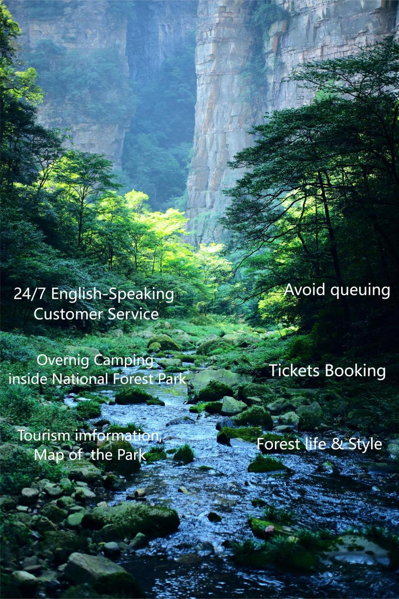 Zhangjiajie National Forest Park Camping Екстериор снимка
