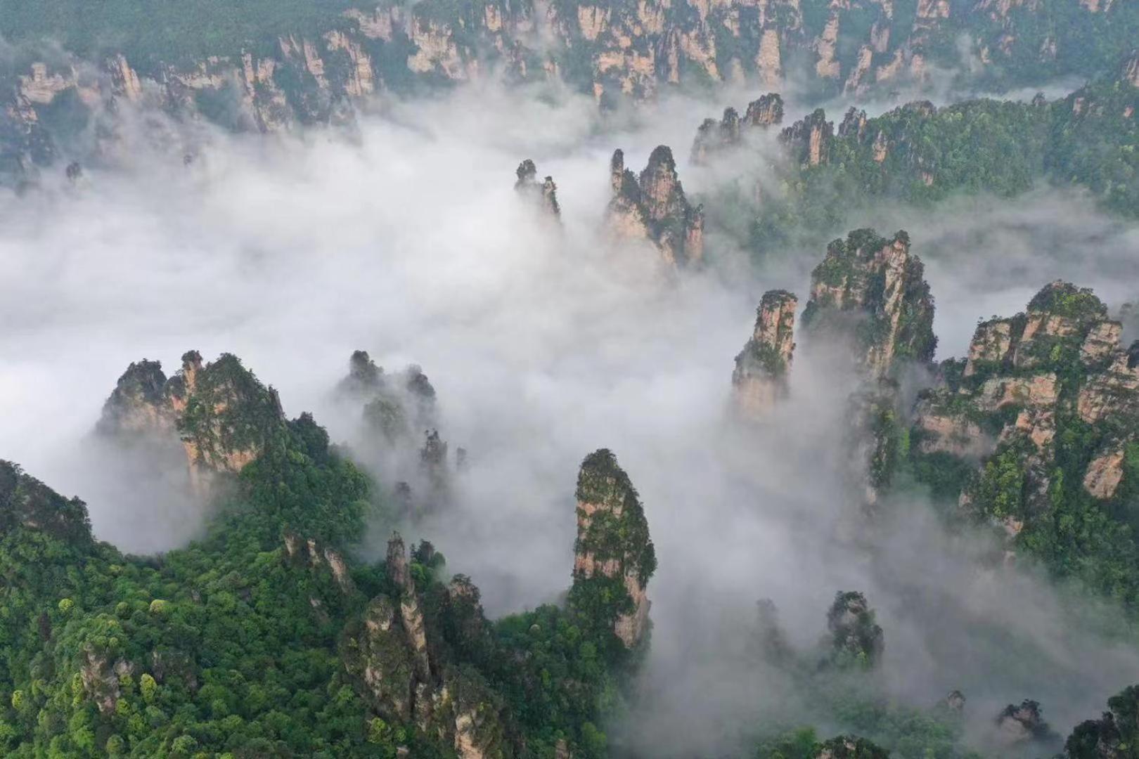 Zhangjiajie National Forest Park Camping Екстериор снимка